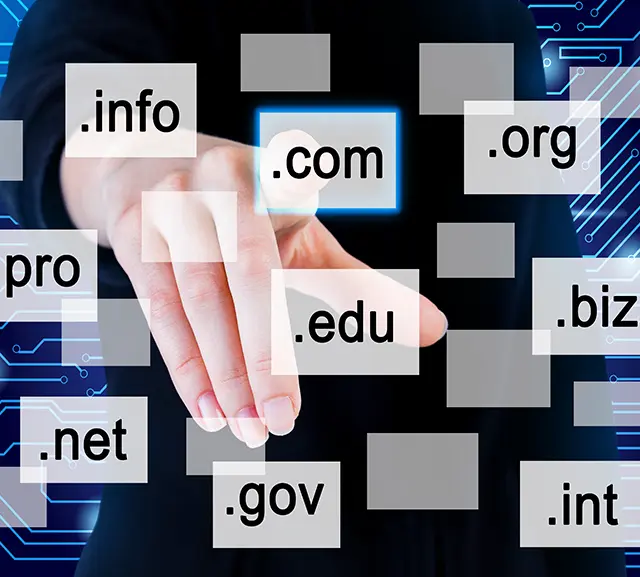 Domain Registration and Automated Renewal